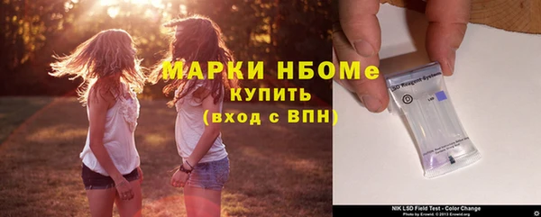 прущие грибы Алзамай
