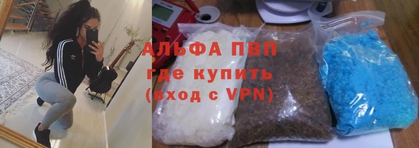 прущие грибы Алзамай