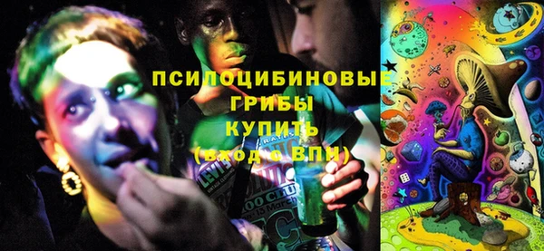 spice Алексин