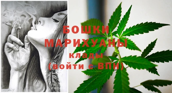 соль ск Абаза