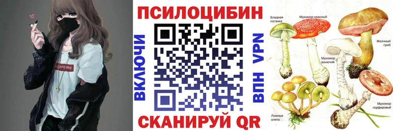 Псилоцибиновые грибы MAGIC MUSHROOMS где купить наркоту Новоаннинский